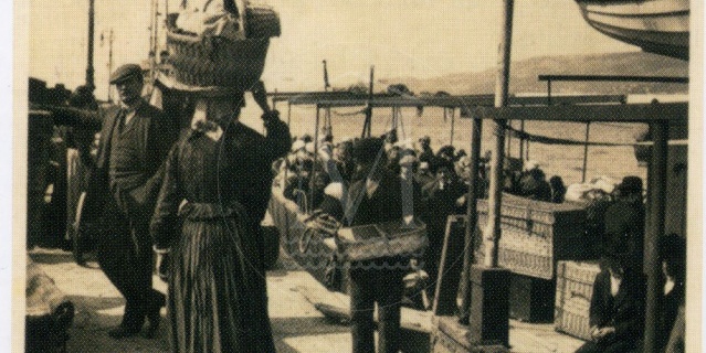 POLITIKA DELI, ljudje se povezujejo